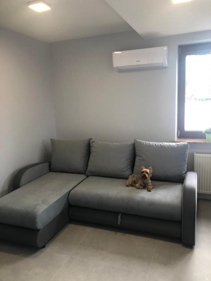 Klimatyzowane Apartamenty I Pokoje Przy Targach Kielce Exterior photo